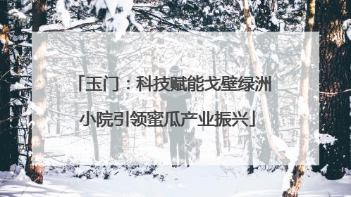 玉门：科技赋能戈壁绿洲 小院引领蜜瓜产业振兴