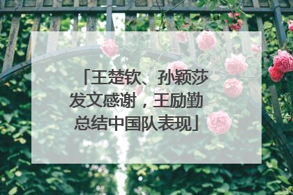王楚钦、孙颖莎发文感谢，王励勤总结中国队表现
