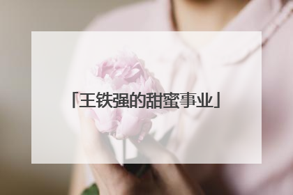 王铁强的甜蜜事业