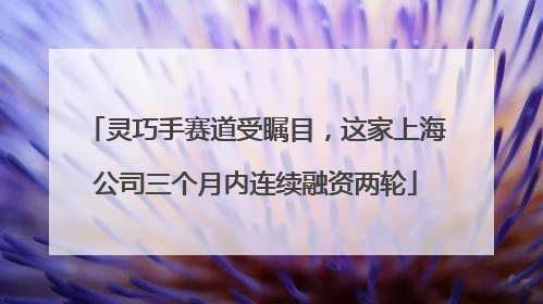 灵巧手赛道受瞩目，这家上海公司三个月内连续融资两轮