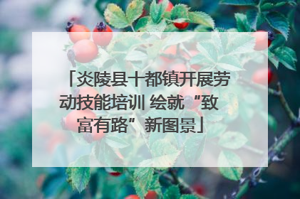 炎陵县十都镇开展劳动技能培训 绘就“致富有路”新图景
