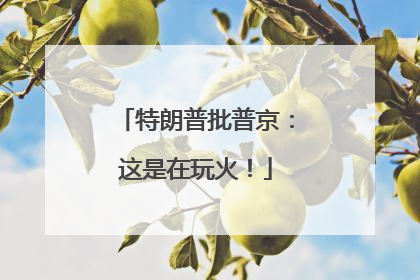 特朗普批普京：这是在玩火！