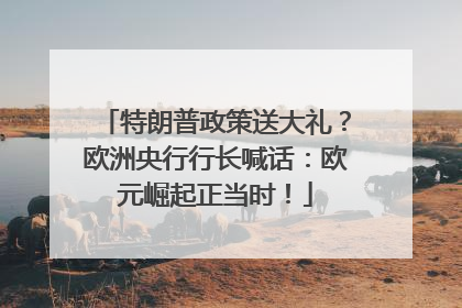 特朗普政策送大礼？欧洲央行行长喊话：欧元崛起正当时！