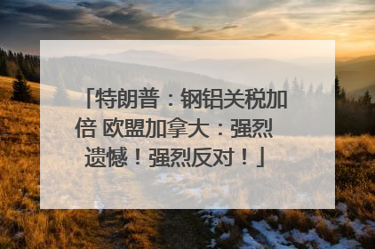 特朗普：钢铝关税加倍 欧盟加拿大：强烈遗憾！强烈反对！