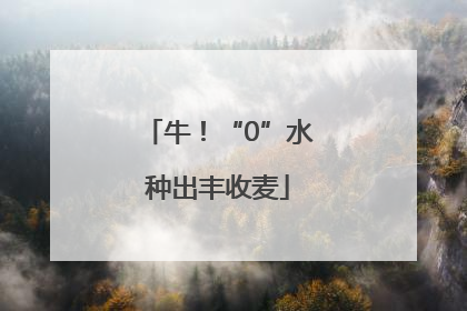 牛！“0”水种出丰收麦
