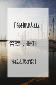 狠抓队伍督察，提升执法效能