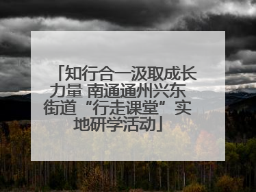 知行合一汲取成长力量 南通通州兴东街道“行走课堂”实地研学活动
