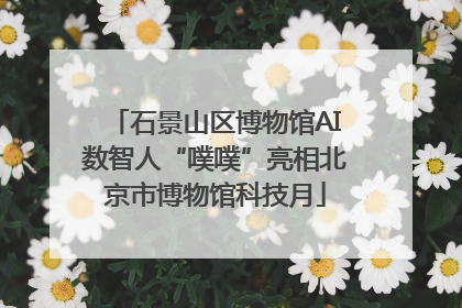 石景山区博物馆AI数智人“噗噗”亮相北京市博物馆科技月