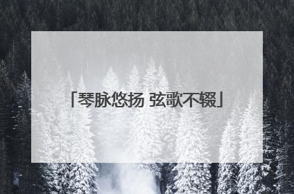 琴脉悠扬 弦歌不辍