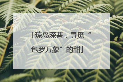 琼岛深巷，寻觅“包罗万象”的甜
