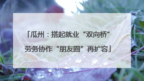 瓜州：搭起就业“双向桥” 劳务协作“朋友圈”再扩容