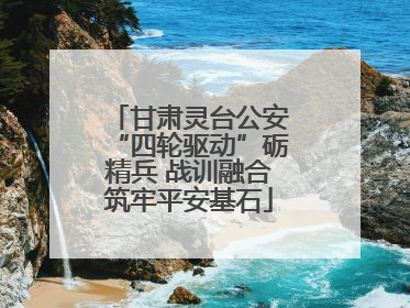 甘肃灵台公安“四轮驱动”砺精兵 战训融合筑牢平安基石