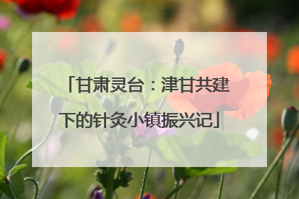 甘肃灵台：津甘共建下的针灸小镇振兴记