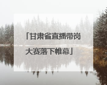 甘肃省直播带岗大赛落下帷幕