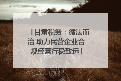 甘肃税务：循法而治 助力民营企业合规经营行稳致远