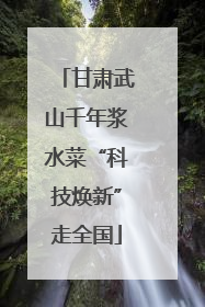 甘肃武山千年浆水菜“科技焕新”走全国