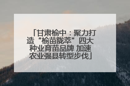甘肃榆中：聚力打造“榆苗陇萃”四大种业育苗品牌 加速农业强县转型步伐