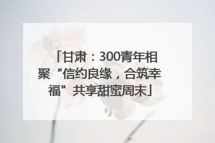 甘肃：300青年相聚“信约良缘，合筑幸福”共享甜蜜周末