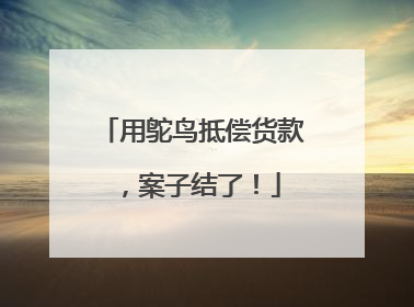用鸵鸟抵偿货款，案子结了！