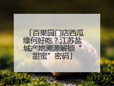 百果园门店西瓜缘何好吃？江苏盐城产地溯源解锁“甜蜜”密码