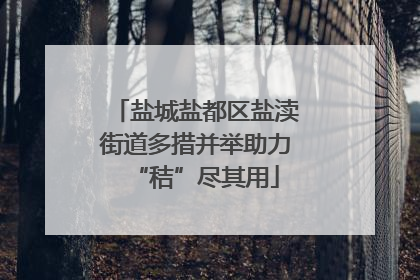 盐城盐都区盐渎街道多措并举助力“秸”尽其用