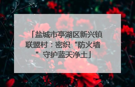 盐城市亭湖区新兴镇联盟村：密织“防火墙”守护蓝天净土