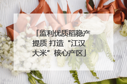 监利优质稻稳产提质 打造“江汉大米”核心产区