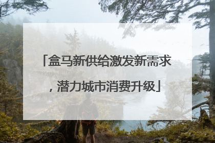 盒马新供给激发新需求，潜力城市消费升级