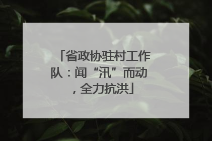 省政协驻村工作队：闻“汛”而动，全力抗洪