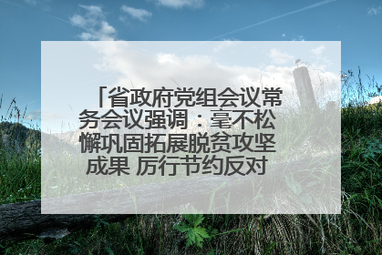 省政府党组会议常务会议强调：毫不松懈巩固拓展脱贫攻坚成果 厉行节约反对浪费弘扬优良作风