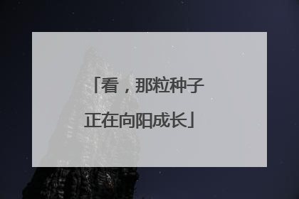 看，那粒种子正在向阳成长