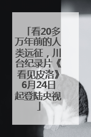看20多万年前的人类远征，川台纪录片《看见皮洛》6月24日起登陆央视