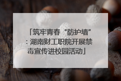 筑牢青春“防护墙”：湖南财工职院开展禁毒宣传进校园活动