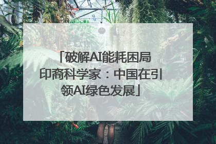 破解AI能耗困局 印裔科学家：中国在引领AI绿色发展