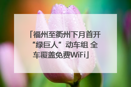 福州至衢州下月首开“绿巨人”动车组 全车覆盖免费WiFi