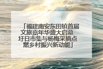 福建南安东田镇首届文旅嘉年华盛大启幕 圩日市集与杨梅采摘点燃乡村振兴新动能