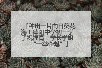 种出一片向日葵花海！德阳中学初一学子祝福高三学长学姐“一举夺魁”