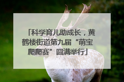 科学育儿助成长，黄鹤楼街道第九届“萌宝爬爬赛”圆满举行