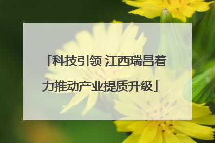 科技引领 江西瑞昌着力推动产业提质升级