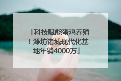 科技赋能蛋鸡养殖！潍坊诸城现代化基地年销4000万
