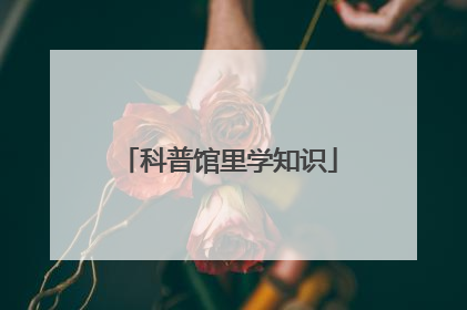 科普馆里学知识