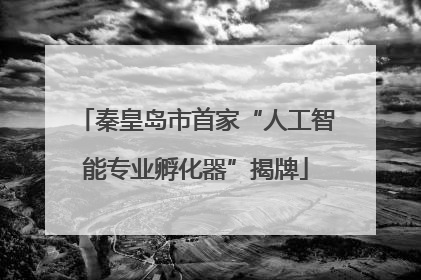 秦皇岛市首家“人工智能专业孵化器”揭牌