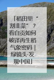 稻田里“割韭菜”？看自贡如何破译再生稻气象密码｜绿镜头·发现中国