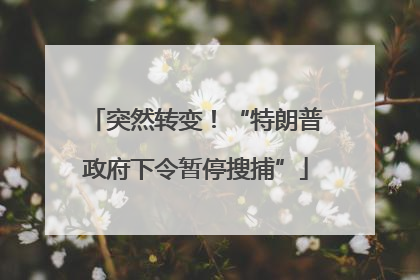 突然转变！“特朗普政府下令暂停搜捕”