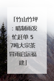 竹山竹坪：晴制雨发忙赶单 57吨大宗茶冒雨启运福建