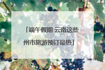 端午假期 云南这些州市旅游预订最热