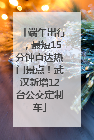 端午出行，最短15分钟直达热门景点！武汉新增12台公交定制车