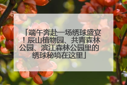端午奔赴一场绣球盛宴！辰山植物园、共青森林公园、滨江森林公园里的绣球秘境在这里