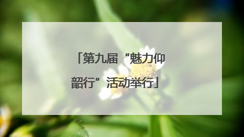 第九届“魅力仰韶行”活动举行