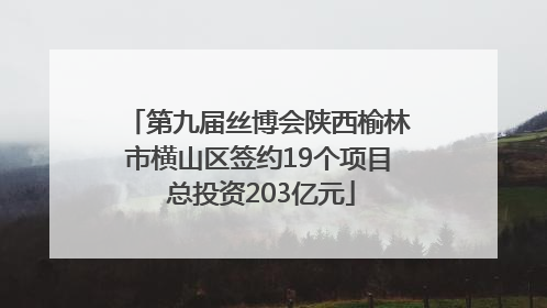 第九届丝博会陕西榆林市横山区签约19个项目 总投资203亿元